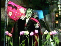 The Count and IGOR