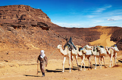 Caravana de camellos pasando por Algeria, Desierto del Sahara. Tuareg cameleer leads camels caravan, Sahara Desert, Algeria.