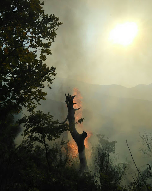 Large-scale fire in Debar, Lura National Park endangered