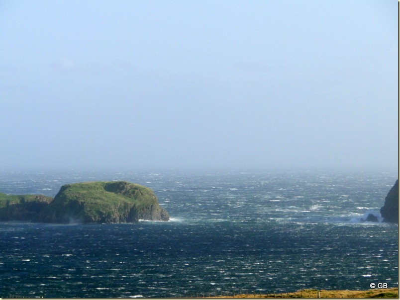 DSC03344