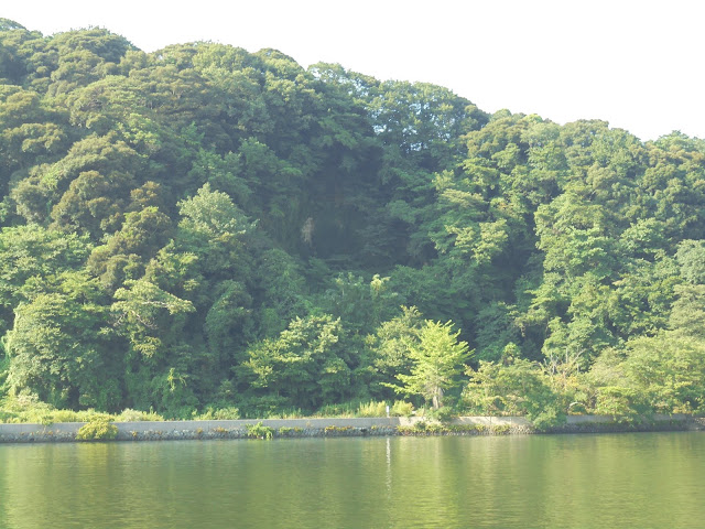 これは対岸ですが以前行った時には公園になっていました