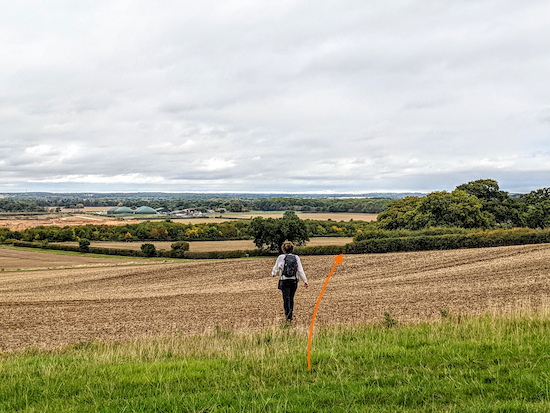 Head N across the field, still on Ridge footpath 8