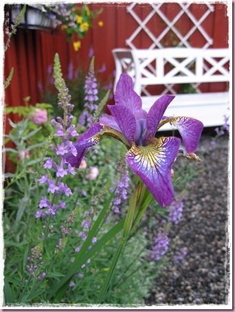038