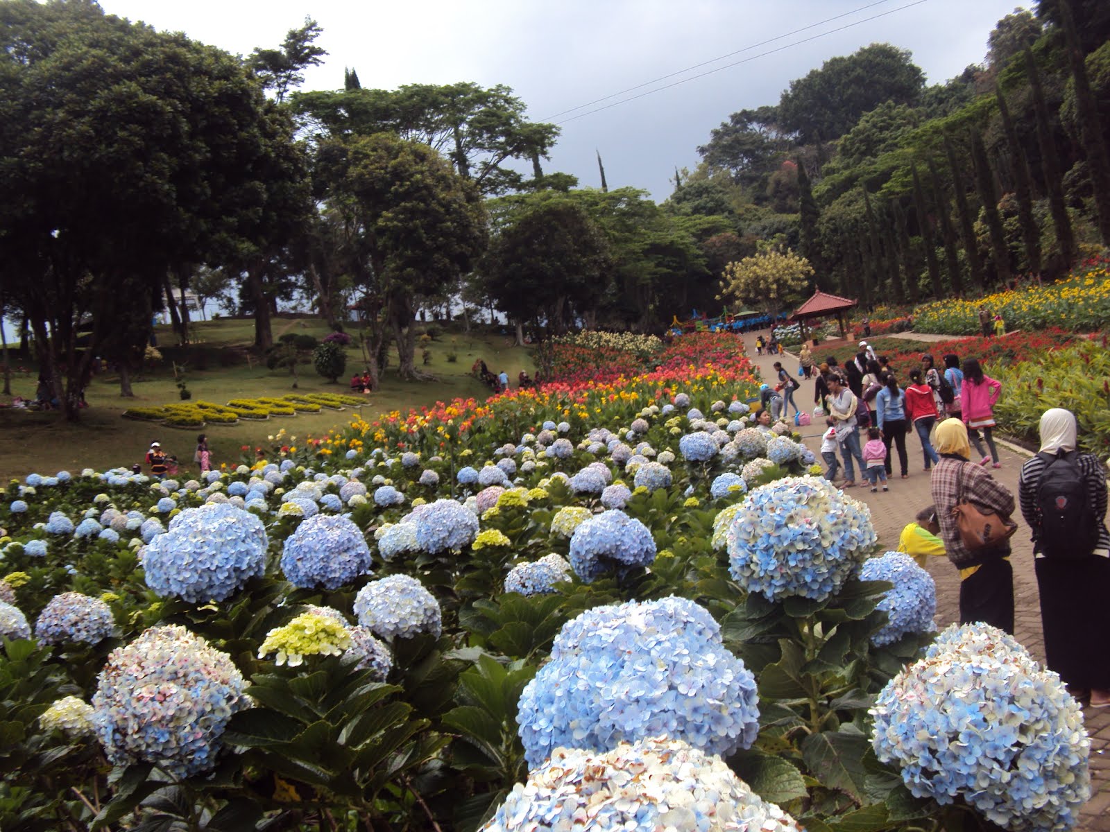 Tempat Wisata Keluarga Terbaik Kota Malang Artikel 