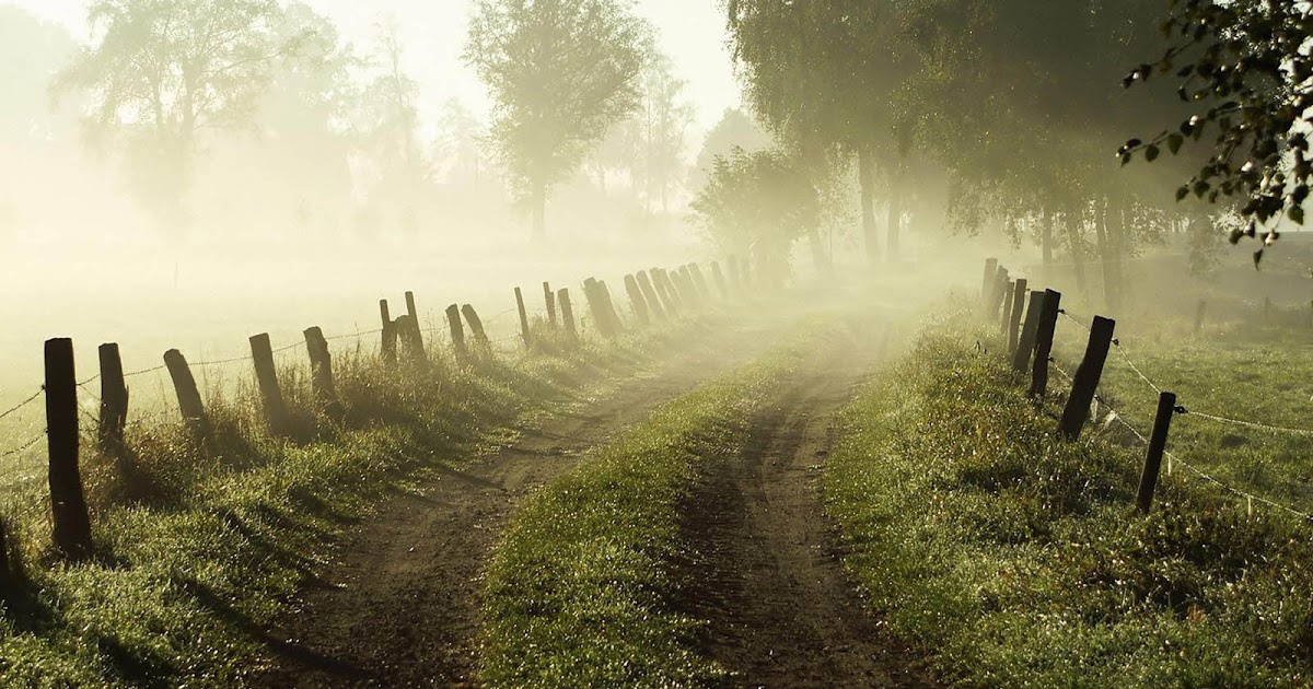  Gambar  Gambar  Kabut di Pagi Hari yang Sangat Indah