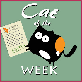 Cuddlywumps Cat Chronicles Cat of the Week badge