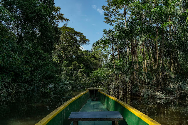  COP26: “Estudios desde el Ecuador para el Mundo”  