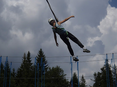 Park linowy "Wypasiona Dolina", trasa leśna