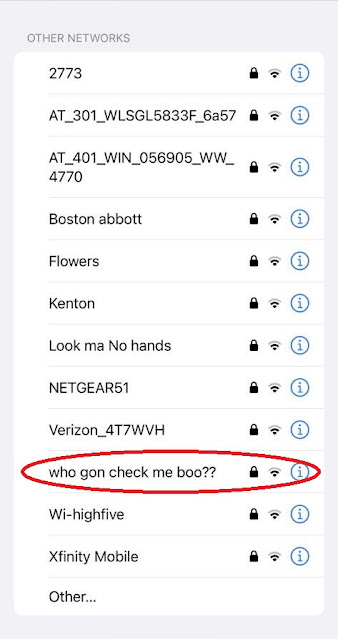 Network Name:  Who gon' Check Me Boo?