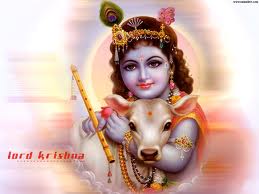 Krishna Loves Cow