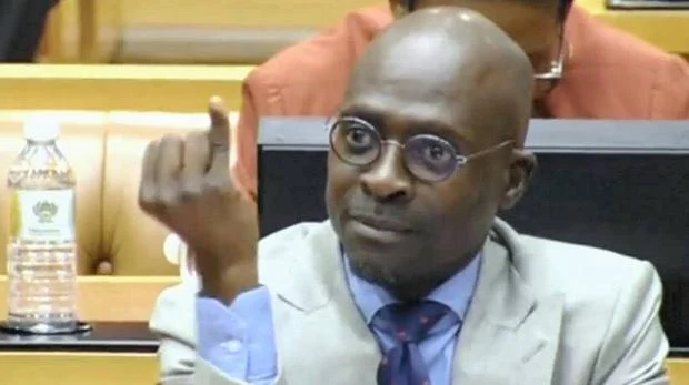 gigaba apologise