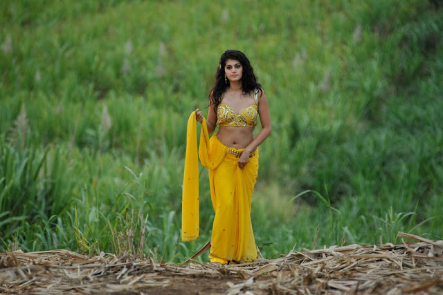 tapsee new spicy saree in mogudu latest photos