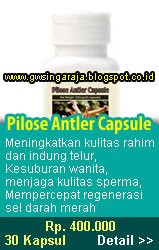 pilose antler