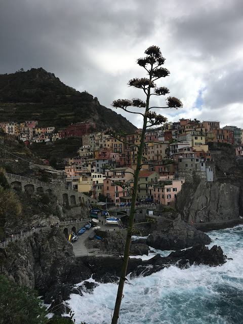 pink outfit, Italian coast, cinque terre, travel blogger, travel to cinque terre, fashion blogger, fashion blogger in italy, where to travel in italy, best fashion and travel blogger, fashion blogger on budget