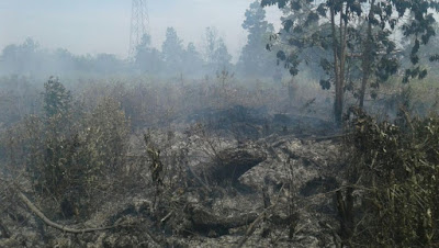 Wah .. Dukun Ikut Membantu Cari Anggota TNI yang Hilang Saat Bertugas Padamkan Kebakaran Lahan Di Riau - Commando