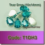 T1DH3 copy