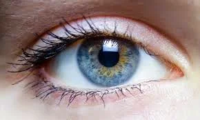 eye health tips