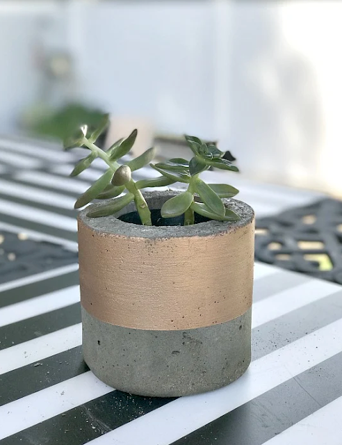 cement planter with gold banding