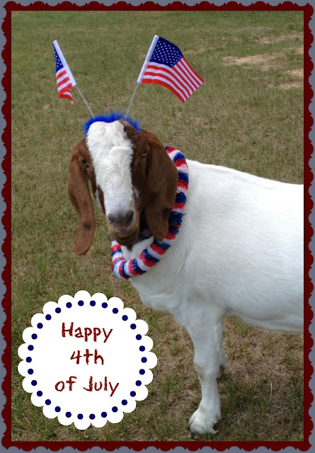 Gus the Goat, Fourth of July, July 4th, Independence Day