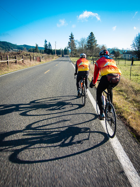 Two road cyclists and long shadows on the road