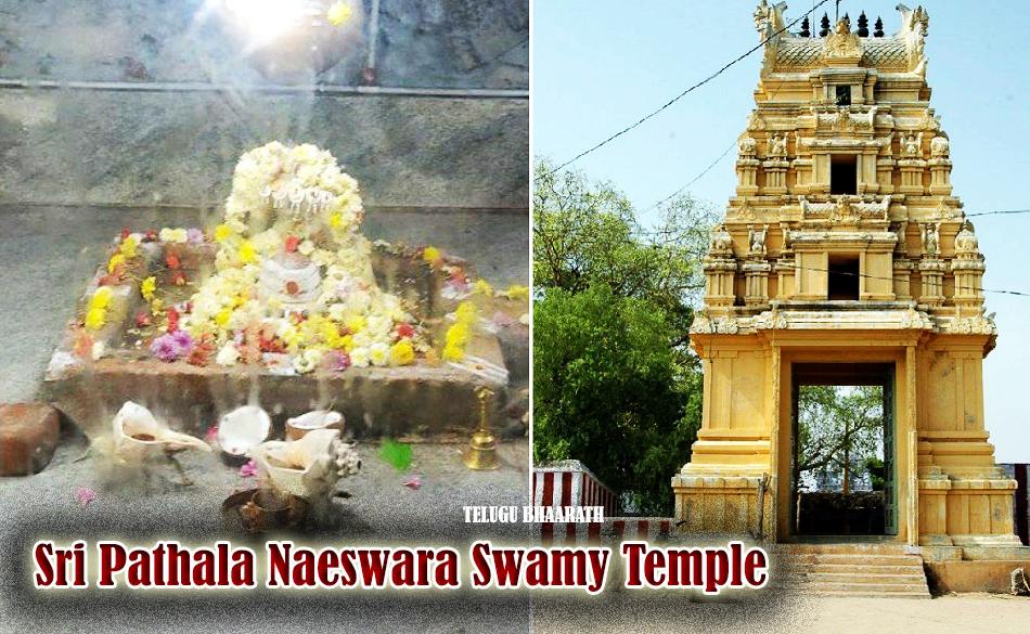 Sri Pathala Naeswara Swamy Temple, Sigileru | శ్రీ పాతాళ నాగేశ్వర స్వామి