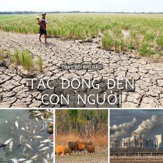 Tác động đến con người