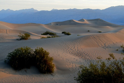 dawn at the dunes
