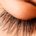 What vitamins do our eyelashes need to grow?