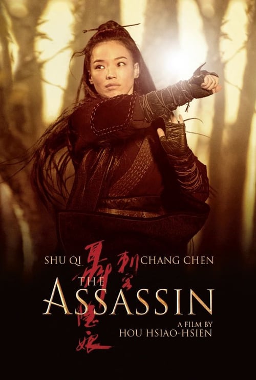 [HD] The Assassin China 2015 Ver Online Subtitulada