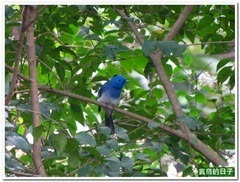 20140319_105808_0504_BotanicalGarden