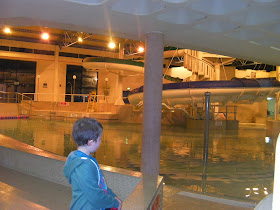 waterslides wave machine 3 pools pyramids waterpark