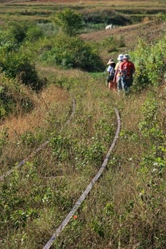 IMG_7336