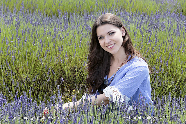 Lavender picking