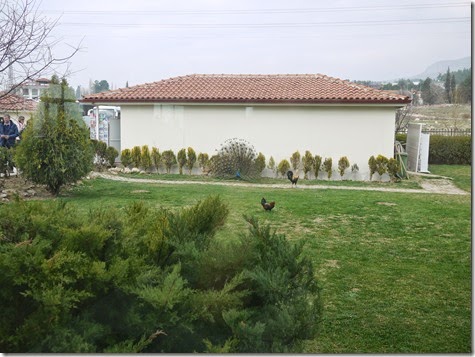 P1170293