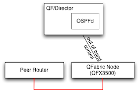 Director connected to edge node and peered with another switch