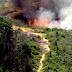 BNPB: 4 Provinsi Tetapkan Siaga Darurat Kebakaran Hutan dan Lahan