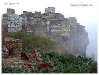 Socotra Island