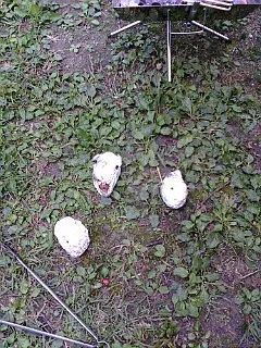 源じいの森キャンプ場での焼き芋