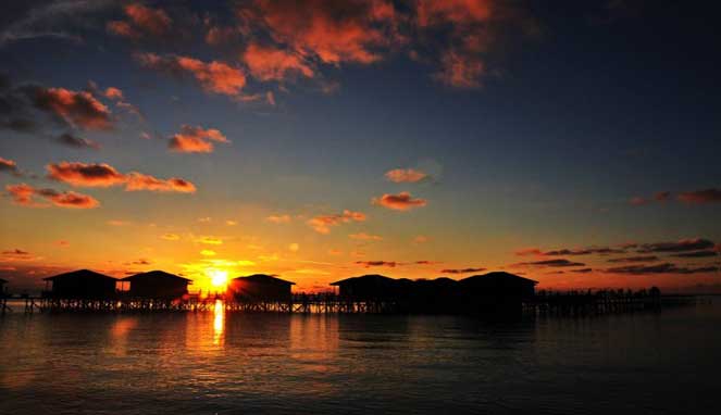 BERBURU PENYU HIJAU DI PULAU MARATUA Berwisata