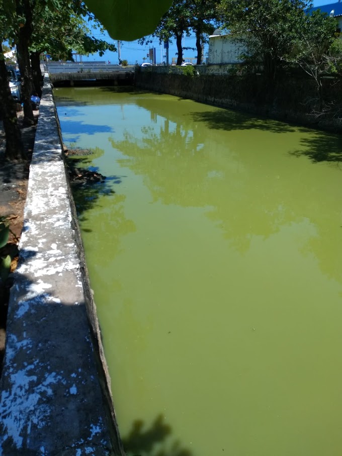  Moradores da Rua do Canal reclamam do esgoto em forma de rio 