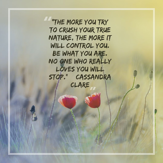 Cassandra Clare Quotes 1