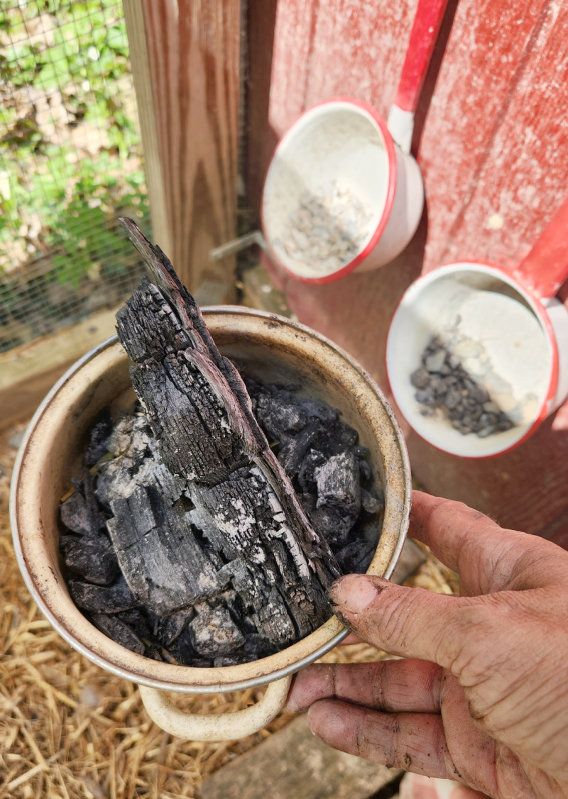 8 Uses for Wood Ash In Your Home, Garden, and Plants - This Old House