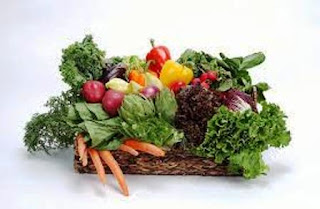 http://rabbit.org/suggested-vegetables-and-fruits-for-a-rabbit-diet/