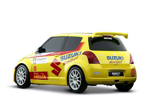 Suzuki Swift Rally Car 2005 (2)