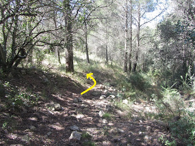 CAL ROTLLAT - FONDO DEL TOTARREU - COLL DELS CARRERS - PUIG DE VILAFRANCA - MASIA DE LA COSTA, torrent de la Costa al terme municipal de La Bisbal del Penedès