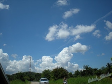 DSCN1427999