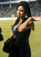 Kannada, actress, madhuri, bhattacharya, at, ccl