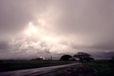 Puunene Sugar Mill, Jan 2009