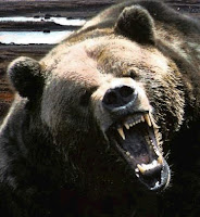 Are we in a bear market?