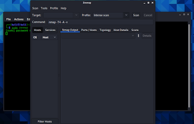 Zenmap running on kali linux 20121